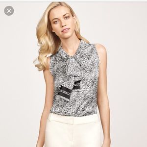 The Limited Scandal Collection Top